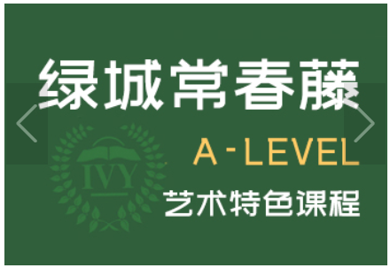 浙江常春藤国际高中A-level艺术特色课程